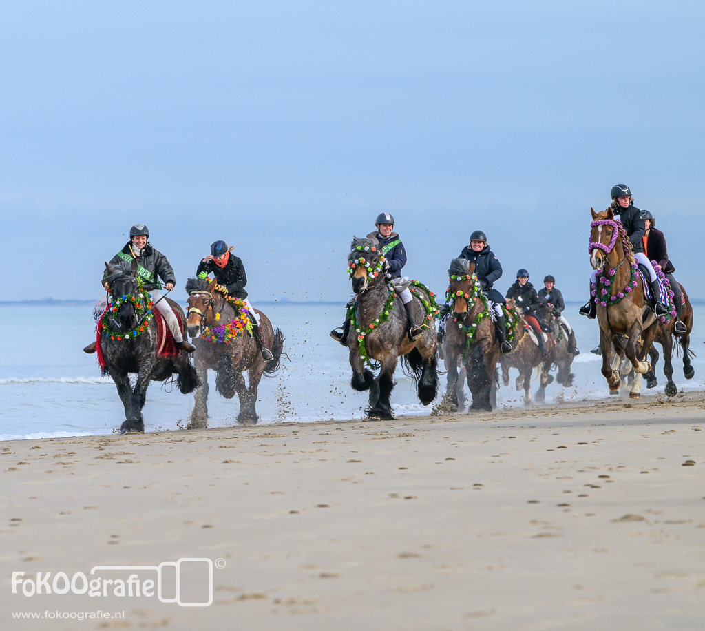 strao_renesse_2024_1