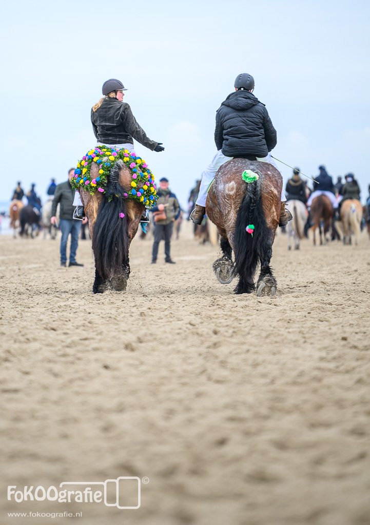 strao_renesse_2024_2